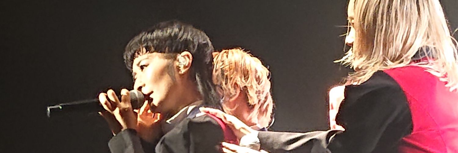 ズラタンサンドマン banner