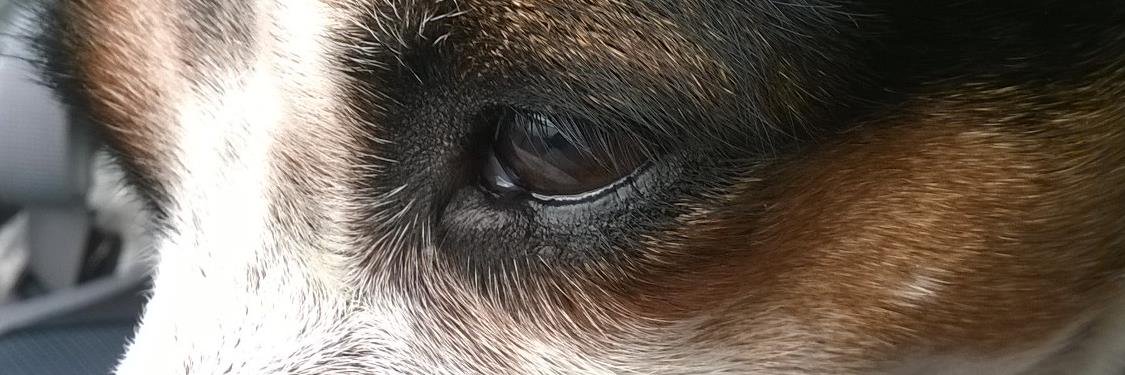 TuulaKarki's profile banner image