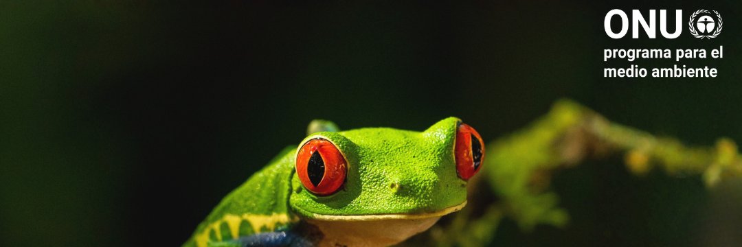 unep_espanol's profile banner image