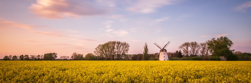Markus Hörster banner