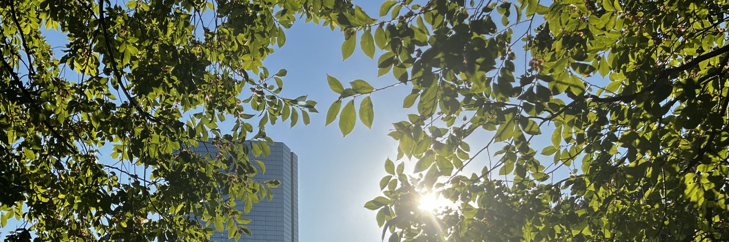 John Chronopoulos banner