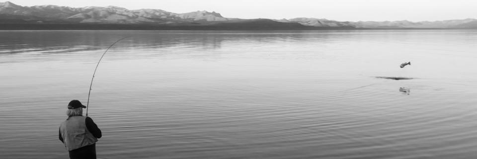 Charly banner