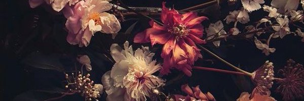 MaddisonReedx Profile Banner