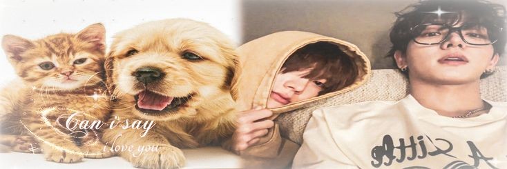 pey 𓇻.ᐟ k/ia banner