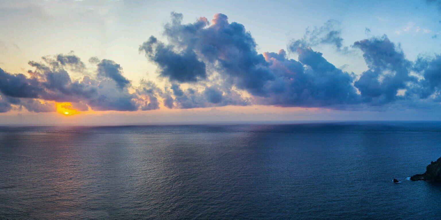 Rac'n 🐾 BeastAges banner