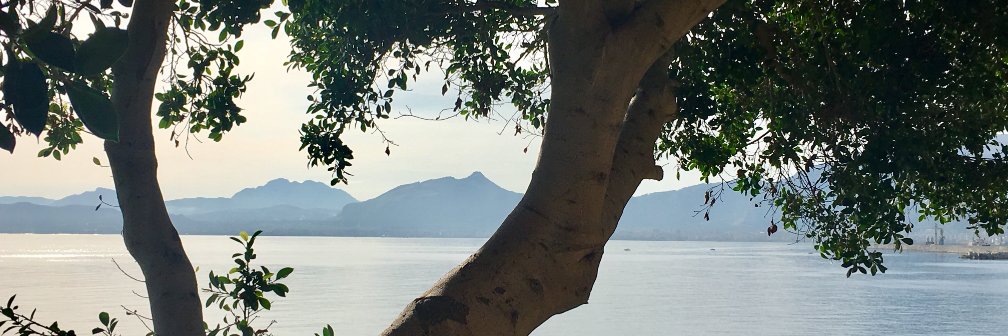liljanne's profile banner image