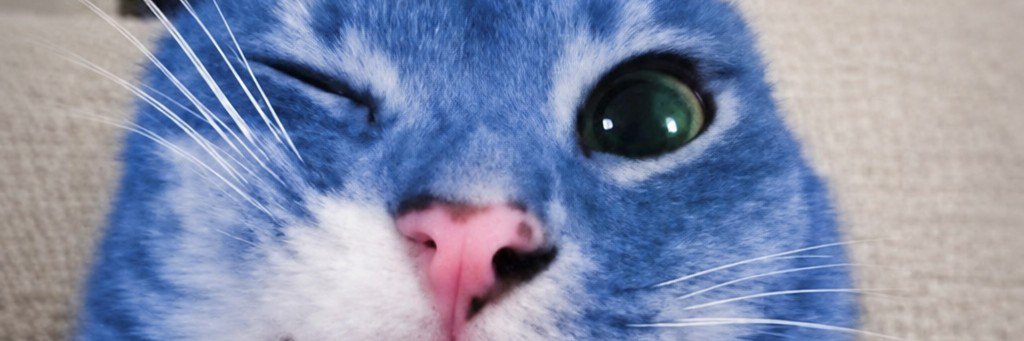 BlueSea0155's profile banner image