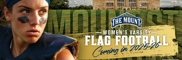 MountFlag Profile Banner