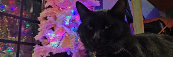 Kazzet_pizzas Profile Banner