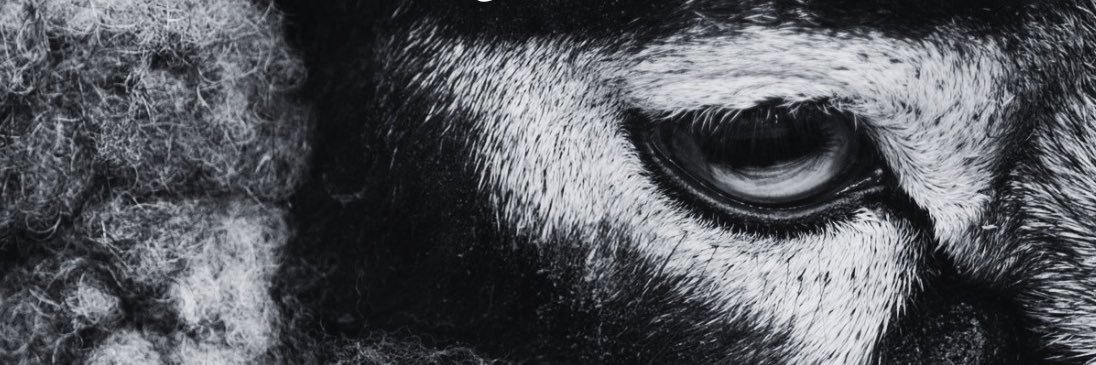 𝕴𝖑𝖑𝖊𝖌𝖎𝖙𝖎𝖒𝖎 𝖓𝖔𝖓 𝖈𝖆𝖗𝖇𝖔𝖗𝖚𝖓𝖉𝖚𝖒 banner