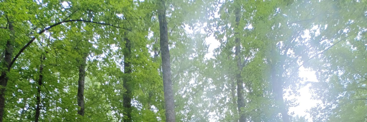 DarrellPf58922's profile banner image