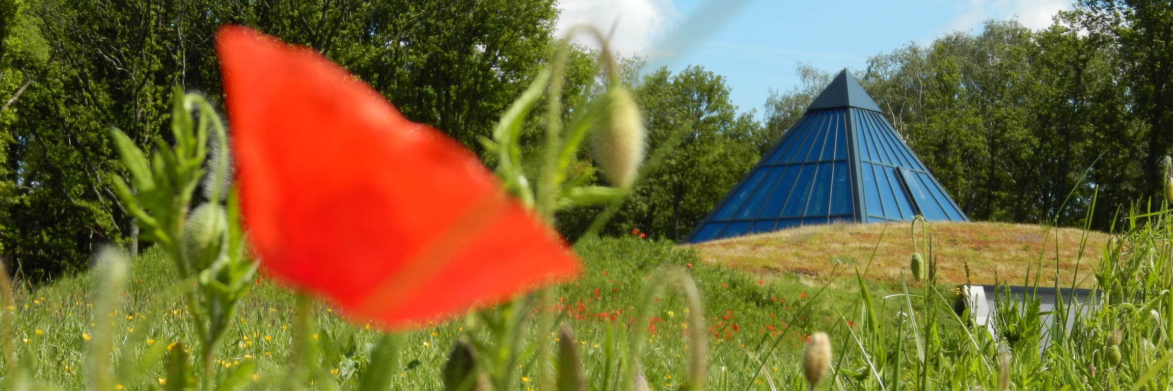 Plugtsreet 14-18 banner