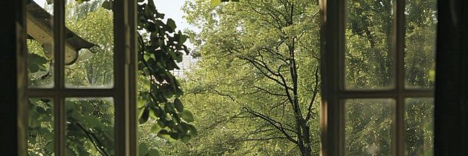 Janewev9's profile banner image