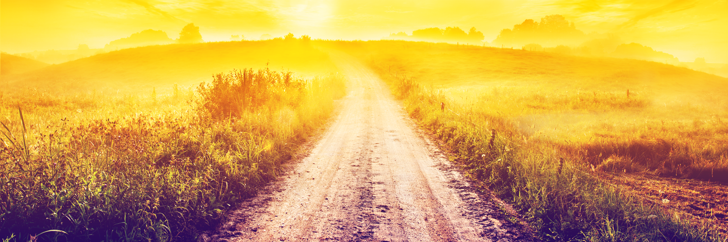 Inspiks Market banner