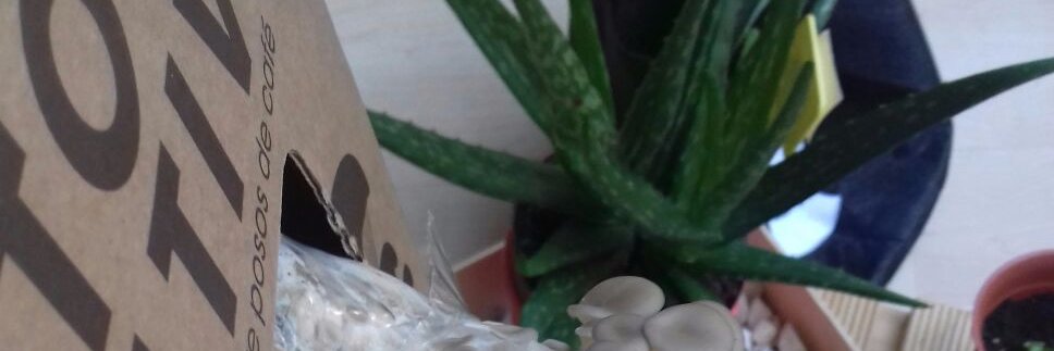 GrowBena20's profile banner image