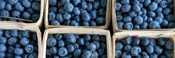 scarrfruits Profile Banner