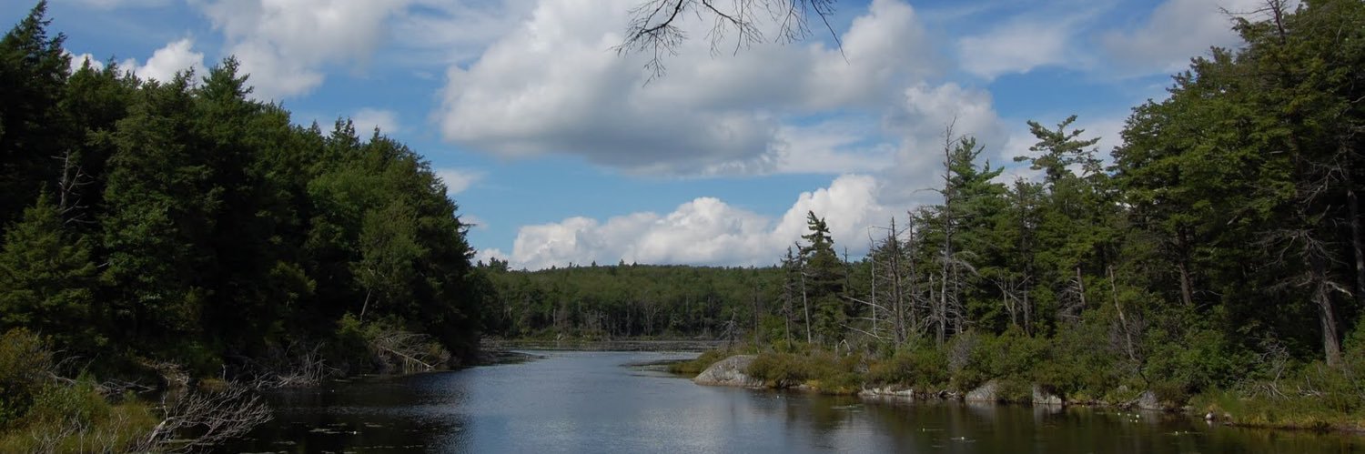 Bob Perciasepe banner