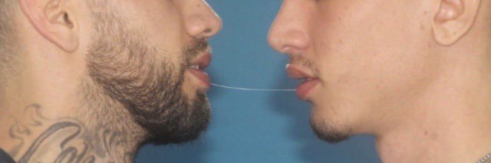 DomBottomBro 💪 banner