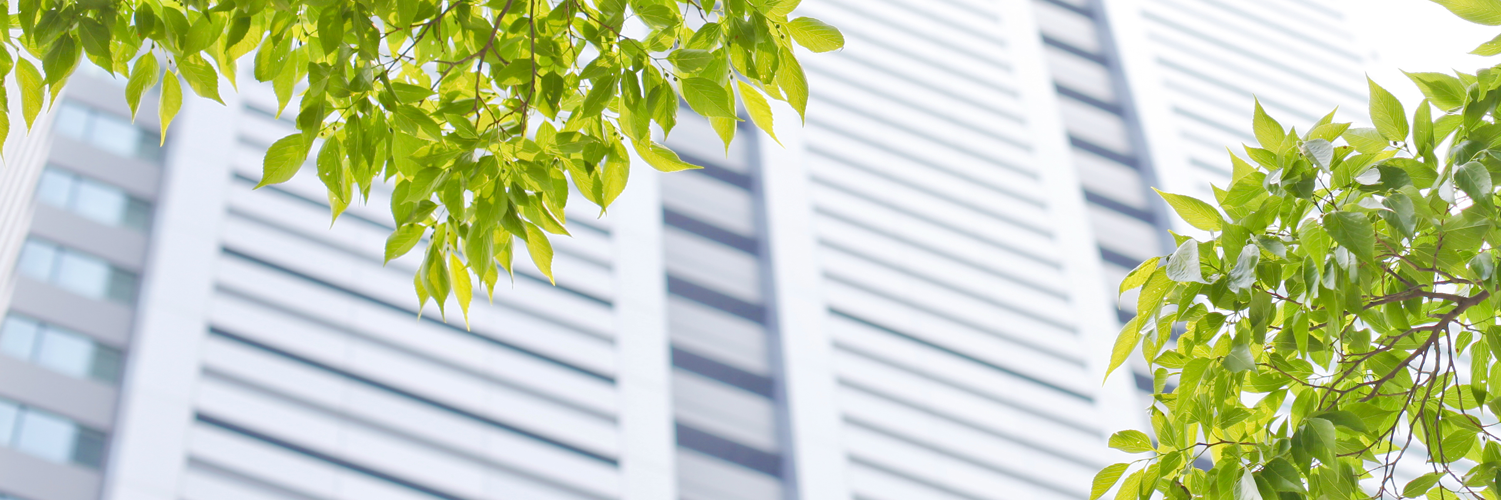 The Green Triangle banner