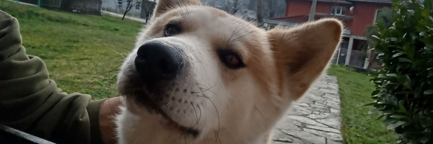 sadsun73's profile banner image