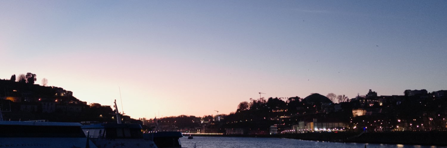 valen 🇵🇸 banner