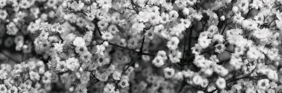 ohsewhoon's profile banner image