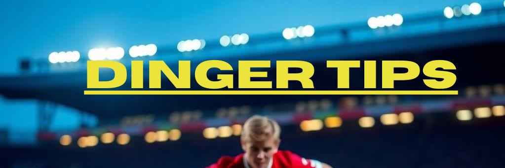 DingerTips banner