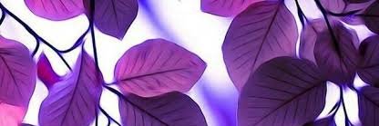 lau_gonmtz's profile banner image