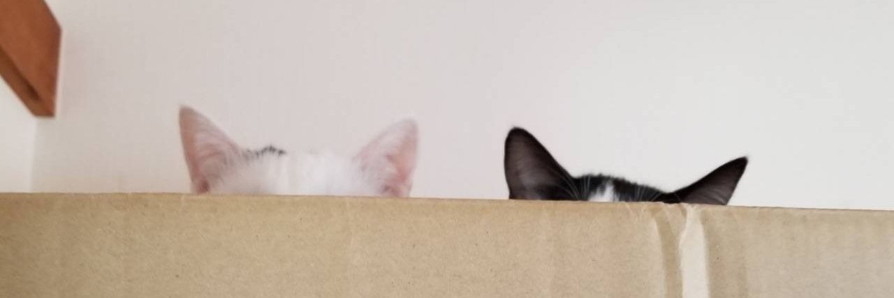 winds9ho's profile banner image