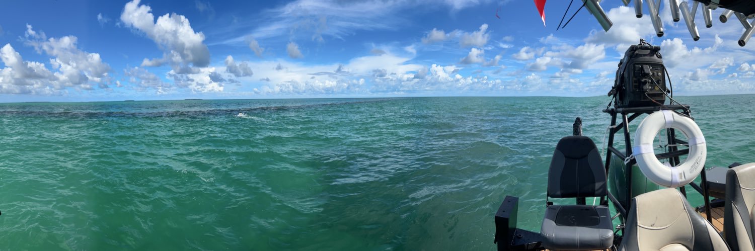 BeardedGamesman banner