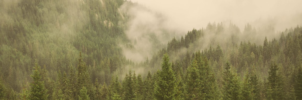 BcnCopy's profile banner image