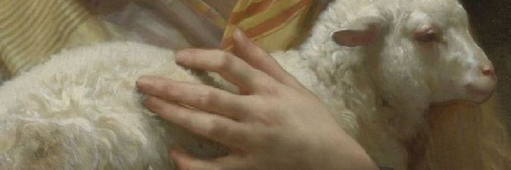 ferris📀's banner