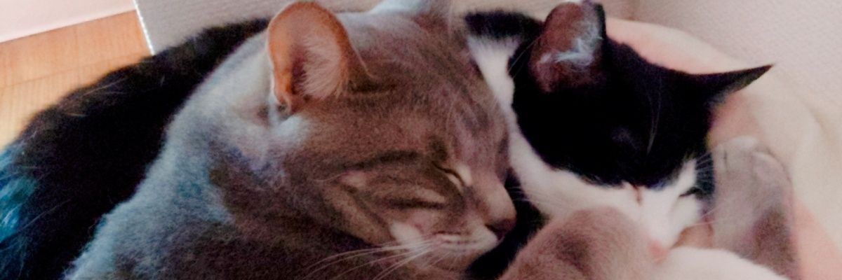Love727V's profile banner image