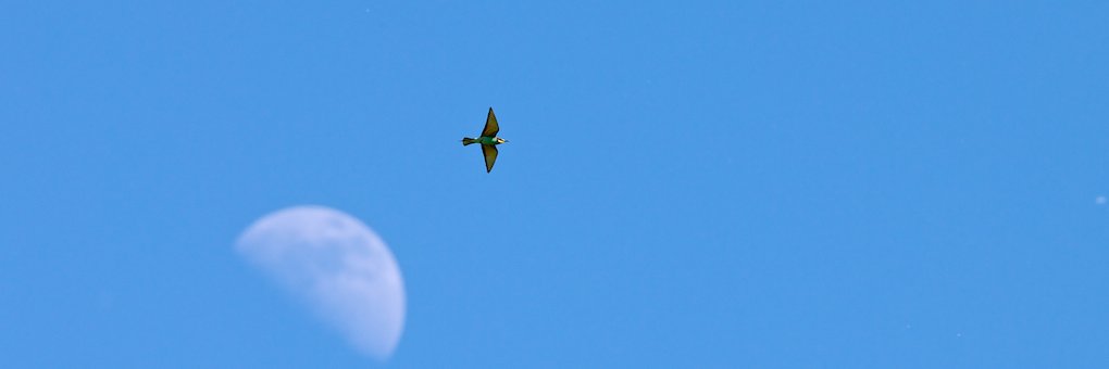 𝘼𝙡𝙖𝙣 𝙈𝙘𝘽𝙧𝙞𝙙𝙚 - #𝙈𝘽𝙊 #𝙁𝘽𝙋𝙀 banner