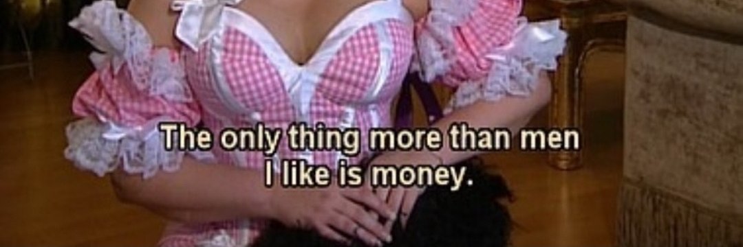 Nikkithevixen ❤ banner