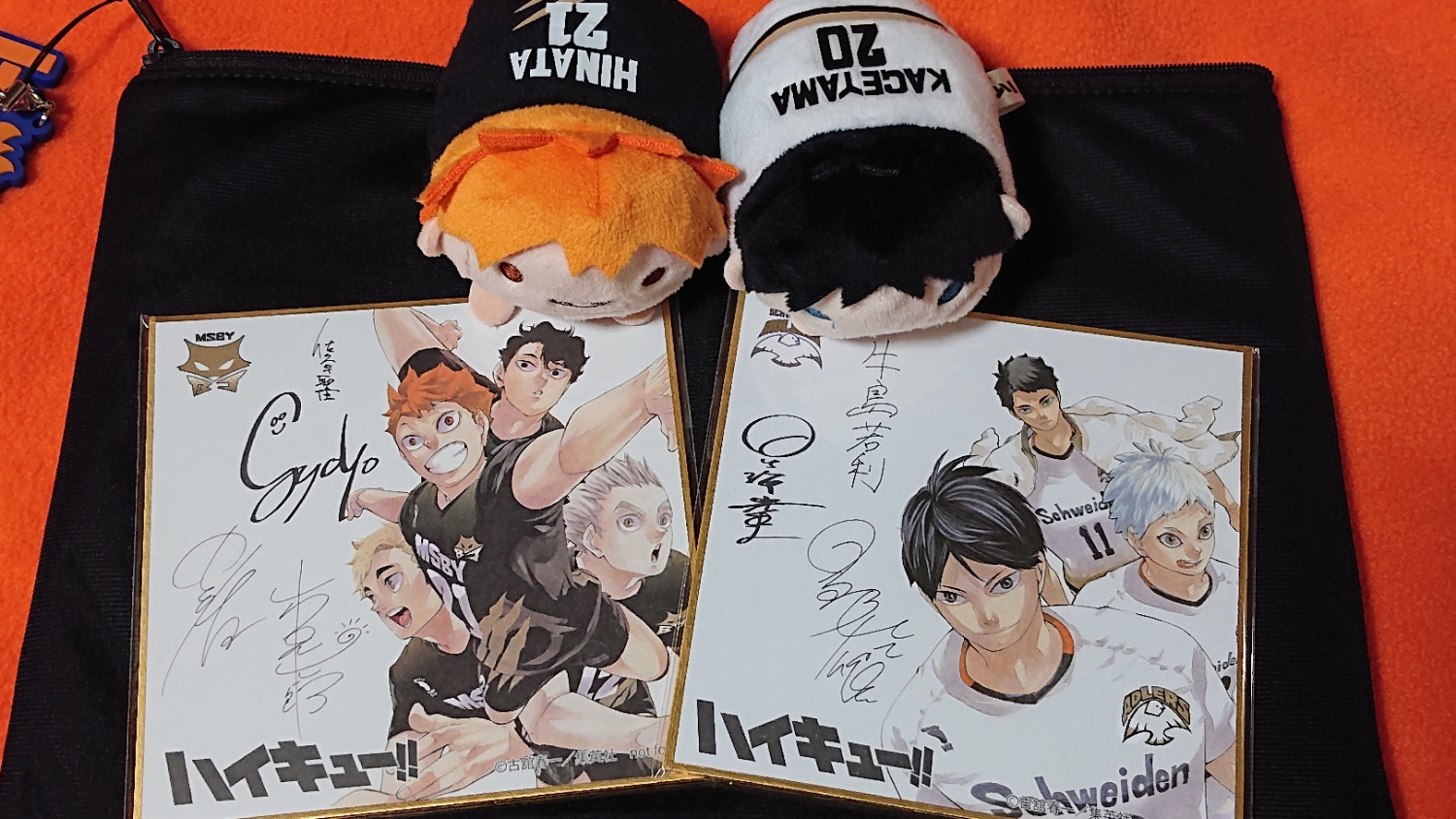 tiger_merry's profile banner image