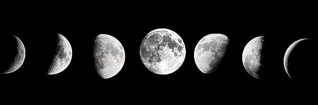 Cryptonaut💹🧲 banner