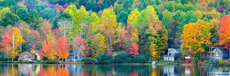 🍁 Maple Mystic 🍁 IFB 🌿 banner