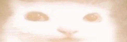 Murphi07's profile banner image