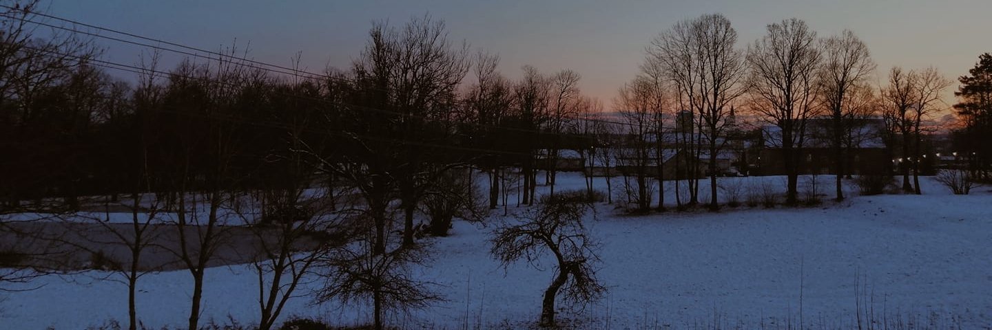 zbalaperdida's profile banner image