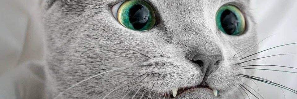 Your_FatherED's profile banner image
