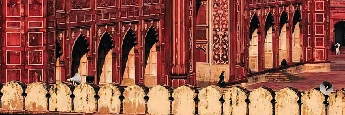 Sheherbano Waqas banner