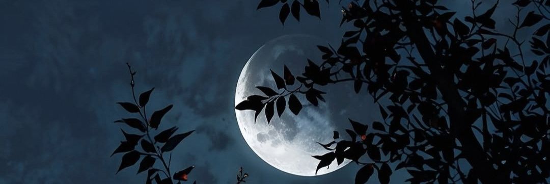 π² banner