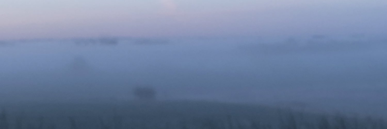 Duttelut79's profile banner image