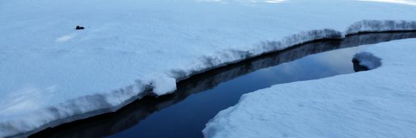 fhilton Profile Banner