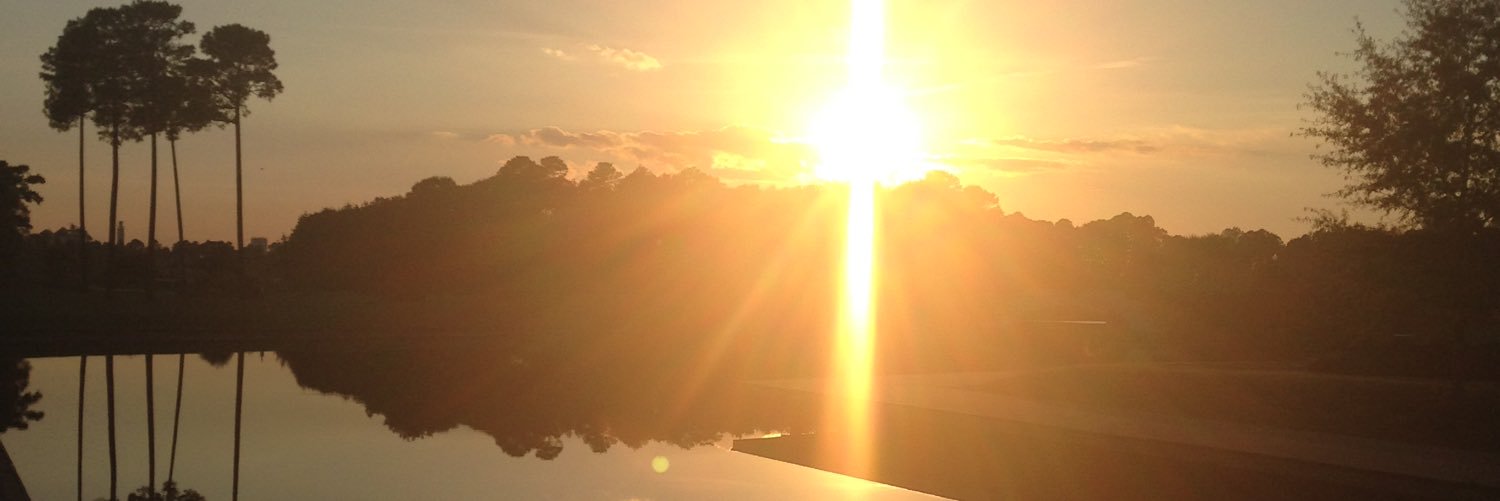 alexxtrava's profile banner image