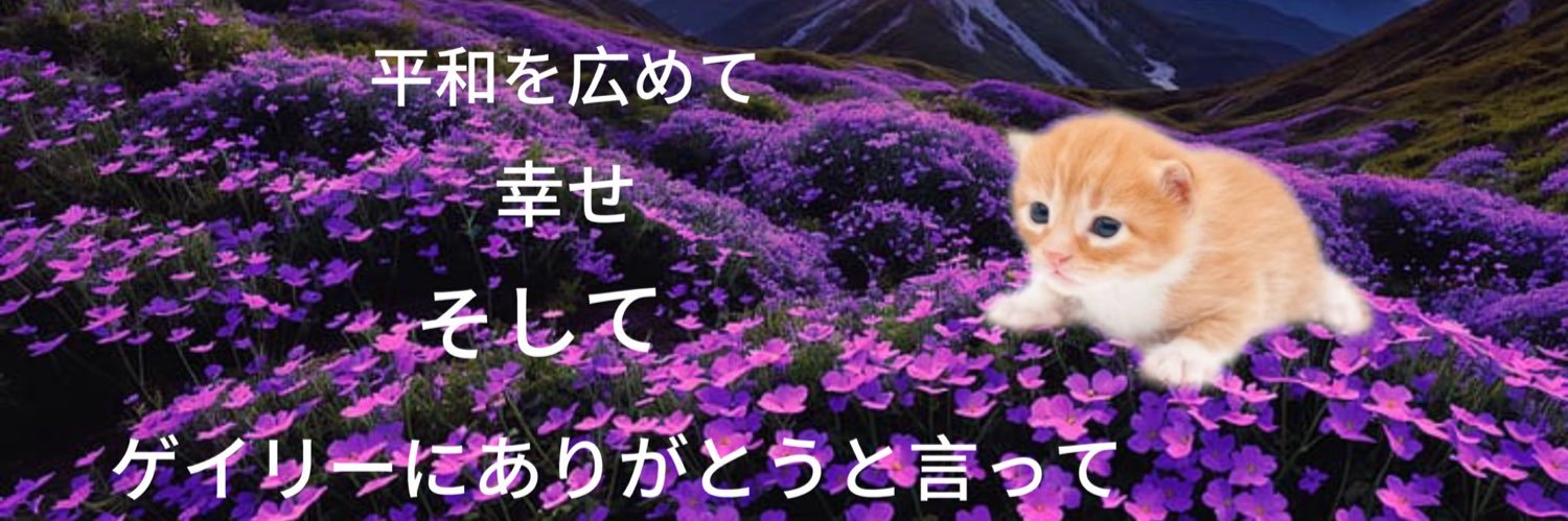 白矢 banner