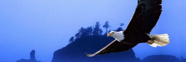 ACommon67374 Profile Banner