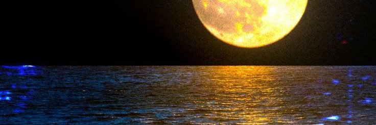 julesenvy's profile banner image