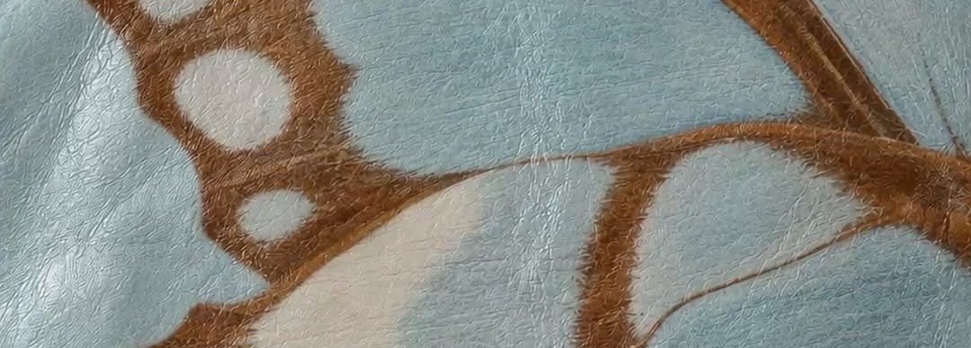 TalulaIndie's profile banner image